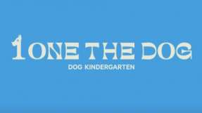 1 ONE THE DOG